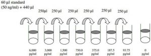 Rat PDGF-AA ELISA Kit RAB0395-1KT