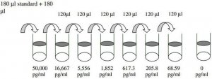 Rat Thymus Chemokine-1 / CXCL7 ELISA Kit RAB0137-1KT