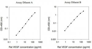 Rat VEGF ELISA Kit RAB0511-1KT