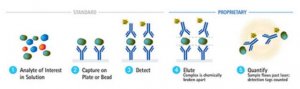 SMC Amyloid Beta 1-40 High Sensitivity Immunoassay Kit 3-0145-00