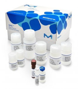 SMC Human IL-17A High Sensitivity Kit 3-0159-00