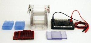 Sigma-Aldrich Dual Run and Blot System Z741768-1EA