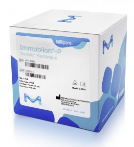 Immobilon-P Membrane, PVDF, 0.45 m, 8.5 cm x 10 m roll IPVH85R