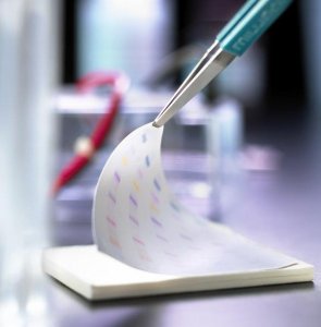 Immobilon-PSQ PVDF Membrane ISEQ15150