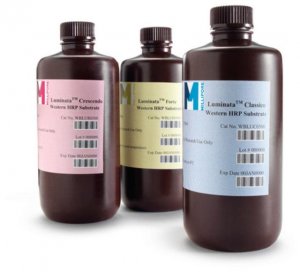 Immobilon Classico Western HRP substrate, 20 mL WBLUC0020