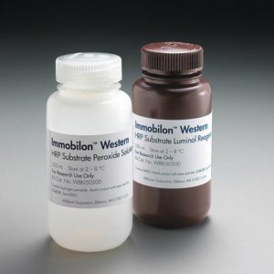 Immobilon Western Chemiluminescent HRP Substrate 