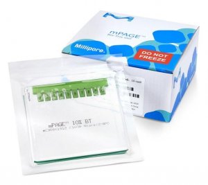 mPAGE 10% Bis-Tris Precast Gel MP10W12