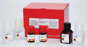 ProteoSilver Plus Silver Stain Kit PROTSIL2-1KT