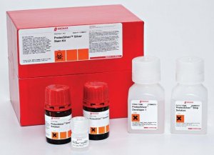 ProteoSilver Silver Stain Kit PROTSIL1-1KT