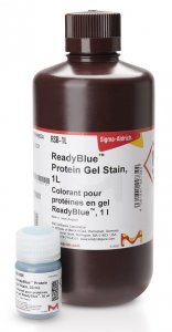 READYBLUE PROTEIN GEL STAIN 