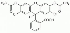 2,7-Dichlorofluorescin Diacetate - CAS 4091-99-0 - Calbiochem 287810-100MG
