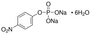 4-Nitrophenyl phosphate disodium salt hexahydrate 