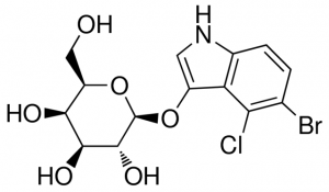5-Bromo-4-chloro-3-indolyl -D-galactopyranoside 