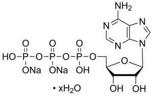 Adenosine 5-triphosphate (ATP) disodium salt hydrate 