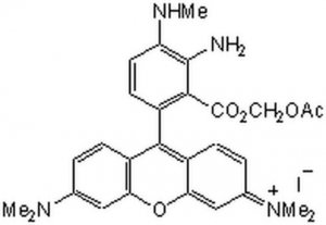 DAR-4M AM - Calbiochem 