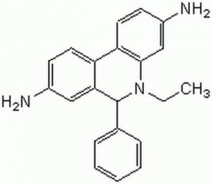 Dihydroethidium - CAS 38483-26-0 - Calbiochem 