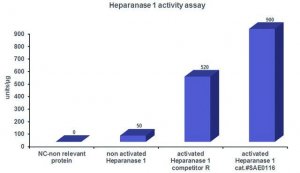 Heparanase-1 pre-activated human SAE0116-10UG