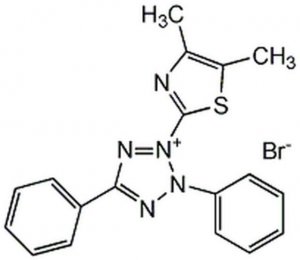 MTT - CAS 298-93-1 - Calbiochem 