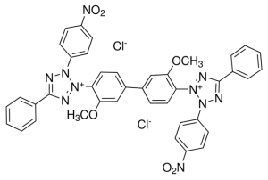 Nitrotetrazolium Blue chloride 