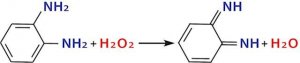 o-Phenylenediamine 
