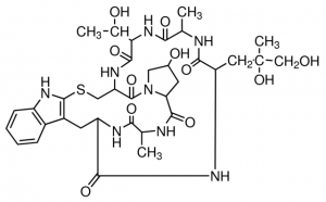 Phalloidin from Amanita phalloides 
