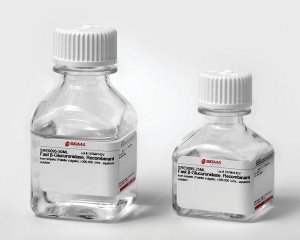 Fast -Glucuronidase, Recombinant 