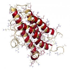 Native Protein Deglycosylation Kit 