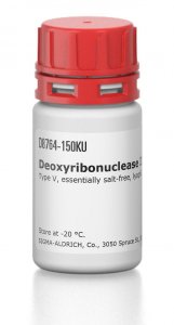 Deoxyribonuclease II from bovine spleen 