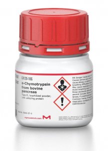 -Chymotrypsin from bovine pancreas 