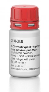 -ChymotrypsinAgarose from bovine pancreas 