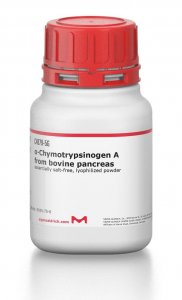 -Chymotrypsinogen A from bovine pancreas 