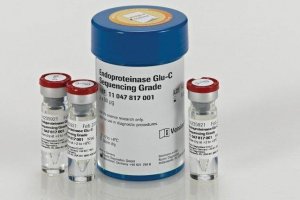 Endoproteinase Glu-C Sequencing Grade 