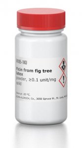 Ficin from fig tree latex 