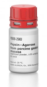 PepsinAgarose from porcine gastric mucosa 