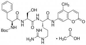 Tryptase from human lung 