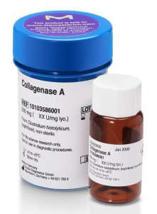Collagenase A 