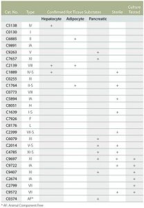 Collagenase from Clostridium histolyticum 