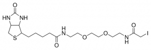 Biotin Polyethyleneoxide Iodoacetamide 