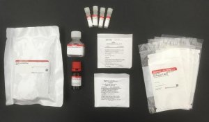 IA-MS Immunoaffinity Mass Spectrometry Kit - Streptavidin MSKT0003-1KT