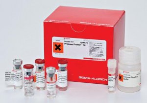 Protease Profiler Kit PP0500-1KT