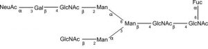 SILuCarb Glycan Standard 13C Biantennary A1(6)F Sial(Alpha-2,3) 