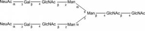 SILuCarb Glycan Standard 13C Biantennary A2 2x(Sial(Alpha-2,3)) 