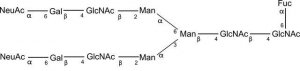 SILuCarb Glycan Standard 13C Biantennary A2F 2xSial(Alpha-2,6) 