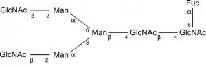 SILuCarb Glycan Standard 13C Biantennary G0F 