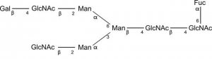SILuCarb Glycan Standard 13C Biantennary G1(6)F 