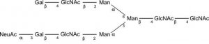 SILuCarb Glycan Standard 13C Biantennary G2A1(3) Sial(Alpha-2,3) 