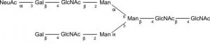 SILuCarb Glycan Standard 13C Biantennary G2A1(6) Sial(Alpha-2,3) 