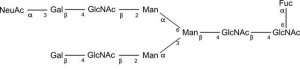 SILuCarb Glycan Standard 13C Biantennary G2A1(6)F Sial(Alpha-2,3) 