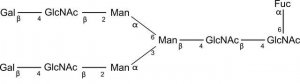 SILuCarb Glycan Standard 13C Biantennary G2F 