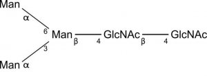 SILuCarb Glycan Standard 13C Paucimannose Man3 